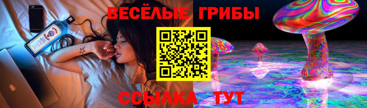Гудермес  Псилоцибиновые грибы MAGIC MUSHROOMS  Вход с VPN  купить  сайты  Псилоцибиновые грибы мухоморы 