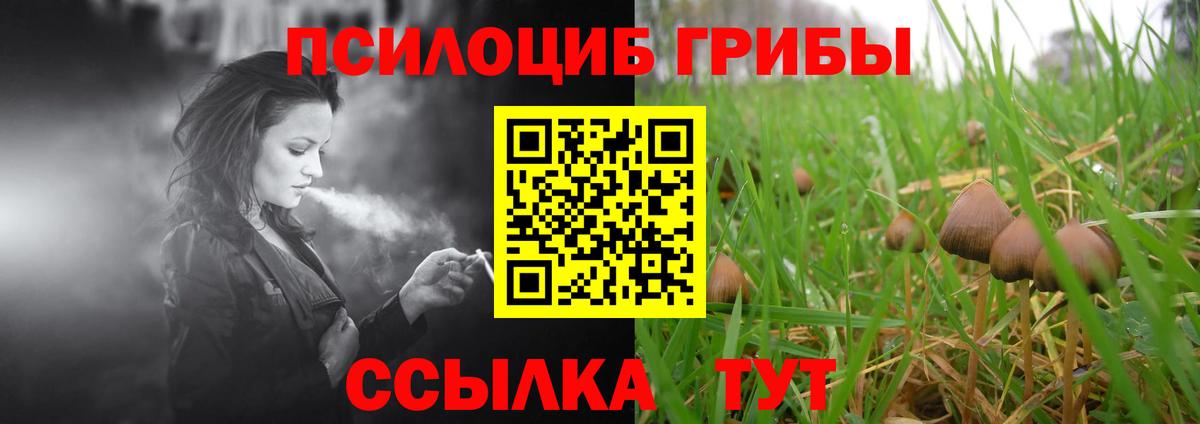Псилоцибиновые грибы GOLDEN TEACHER Гудермес